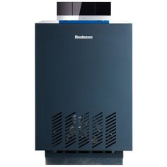 Конвекционный газовый котел Buderus Logano G124 WS-24, 24 кВт, одноконтурный