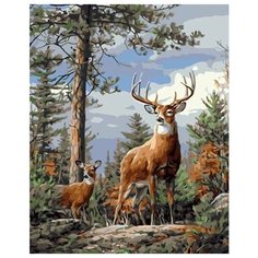 Картина по номерам Colibri 40*50см, холст на подрамнике, VA-2364