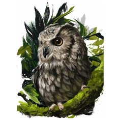 Картина по номерам Colibri "Серьезная сова" 40х50см