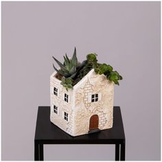 Суккулент микс в домике CASA A11 (D-12, Н-20) Простоцветы