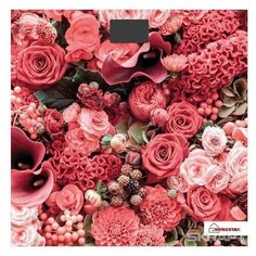 Весы напольные электронные HOMESTAR HS-6001L стеклянная поверхность 180кг