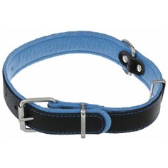 Ошейник Аркон Фетр (оф35), обхват шеи 44-58 см черный/голубой