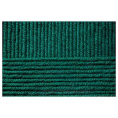 Пряжа для вязания ПЕХ Перспективная (50% мериносовая шерсть, 50% акрил) 5х100г/270м цв.573 т.изумруд Пехорка ПЕХ.персп.573