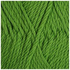 Пряжа Пехорка Пехорская шапка цв.434 зеленый