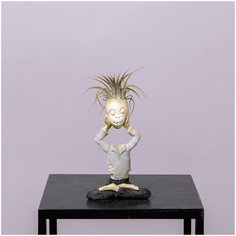 Тилландсия Атмосферная в кашпо Зомби (D-7, Н-15) Простоцветы