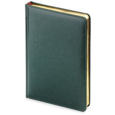 Ежедневник Альт недатированный, А5 (145 х 205 мм), "SIDNEY NEBRASKA" зеленый 272 стр., Арт. 3-128/05