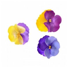 Резинка Брюссель (Размер: безразм Андерсен