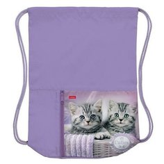 Мешок для сменной обуви с карманом на молнии, 2 отделения "Милые Котята Hatber