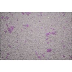 Жидкие обои SILK PLASTER Мастер Нью 148с