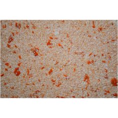 Жидкие обои SILK PLASTER Мастер Нью 151с