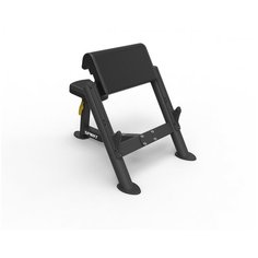 Скамья Скотта Spirit Fitness SP-4206