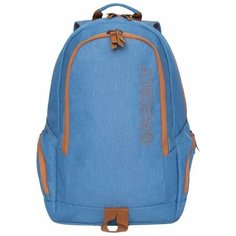 Рюкзак Grizzly RQ-901-1 Голубой