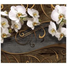 Фотообои Модный Дом "Музыка орхидей" 270x300 см