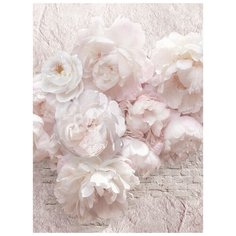 Фотообои Модный Дом "Нежный букет" 270x200 см