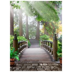 Фотообои Модный Дом "В лес!" 270x200 см