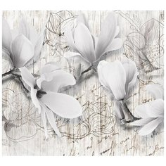 Фотообои Модный Дом "Обрывки строк" 270x300 см