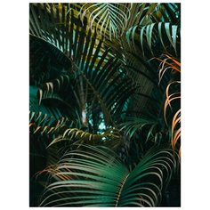 Фотообои Модный Дом "Чарующие джунгли" 270x200 см