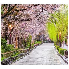 Фотообои Модный Дом "Цветущий сад" 270x300 см