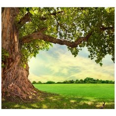 Фотообои Модный Дом "Укромное место" 270x300 см