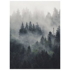 Фотообои Модный Дом "Лес в Тумане" 270x200 см