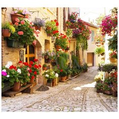 Фотообои Модный Дом "Феерический сад" 270x300 см