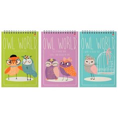 Блокнот Альт, А5 (127 х 202 мм), "сказочные совы" 40 л., Арт. 3-40-024, обложка в ассортименте