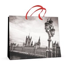 Пакет горизонтальный L (32,5х26,0x13.0 см) "города" матовая ламинация. 2 вида, Арт. 2-108/4 Альт