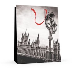 Пакет вертикальный L (26x32.5x13.0 см) "города" матовая ламинация, Арт. 2-108/3 Альт