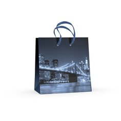 Пакет квадратный MS (16.5x16.5x9.2 см) "города" матовая ламинация. 2 вида, Арт. 2-108/5 Альт