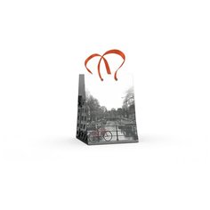 Пакет вертикальный S (11.1x13.7x6.2 см) "город И цвет" матовая ламинация, Арт. 2-134/1 Альт