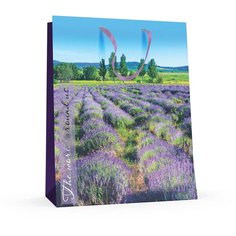 Пакет вертикальный L (26x32.5x13.0 см) "природа" матовая ламинация, 2-х сторонняя фольга, Арт. 2-133/3 Альт