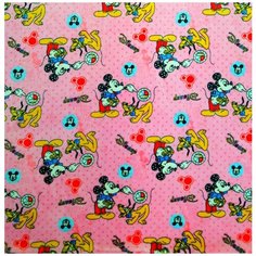 Плед плюшевый велсофт мышка на розовом 150х200 см. детские расцветки Iv Selena