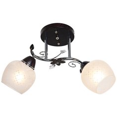 ЭкономСвет Люстра ЭкономСвет "820EMx2". Хром+черный