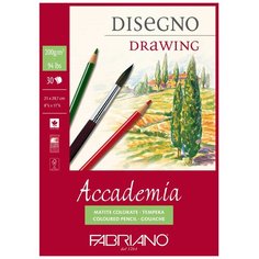 Альбом для рисования Fabriano Accademia Drawing 29.7 х 21 см (A4), 200 г/м², 30 л.