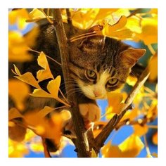 Алмазная мозаика Кот на дереве, Molly 30x30 см.