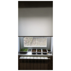 Рулонная штора на окно мини Эко (серый, 120 х 235 см) Мастер Плюс