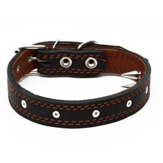 Ошейник кожаный "Строгий шип", 56 х 2.5 см, ОШ 35-45 см, чёрный Пижон