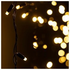 Светодиодная гирлянда ARD-EDGE-CLASSIC-2400x600-BLACK-88LED-FLASH Warm/Warm (230V, 6W) (Ardecoled, IP65)