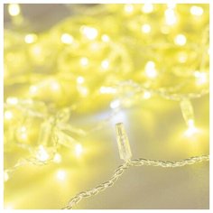 Светодиодная гирлянда ARD-STRING-CLASSIC-10000-CLEAR-100LED-FLASH Gold (230V, 7W) (Ardecoled, IP65)
