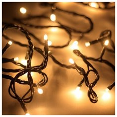 Светодиодная гирлянда ARD-STRING-HOME-5000-GREEN-50LED-FLASH WARM (230V, 3.5W) (Ardecoled, IP20)