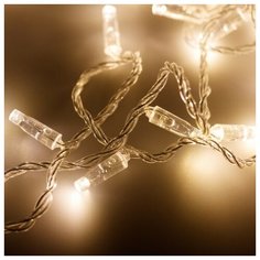 Светодиодная гирлянда ARD-STRING-CLASSIC-10000-CLEAR-100LED-STD WARM (230V, 7W) (Ardecoled, IP65)