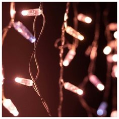 Светодиодная гирлянда ARD-EDGE-CLASSIC-2400x600-CLEAR-88LED-FLASH Rose Gold (230V, 6W) (Ardecoled, IP65)