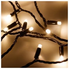 Светодиодная гирлянда ARD-STRING-PRO-10000-GREEN-100LED-STD WARM (230V, 7W) (Ardecoled, IP65)