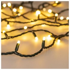 Светодиодная гирлянда ARD-STRING-PRO-1000-GREEN-100LED-MILK-PULSE Warm (230V, 7W) (Ardecoled, IP65)