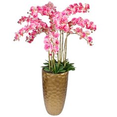 Орхидея 11 веток в большом высоком керамическом кашпо Конус застаренное золото, цвет: ярко-розовый Gerard de ros