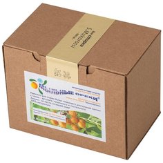 Мыльные орехи S. Mukorossi средство для стирки детского и постельного белья 500 гр / Мыльные орехи