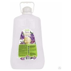 Кондиционер ополаскиватель для белья Веста 5л SPA сирень