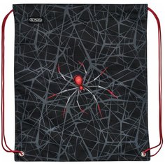 Мешок для обуви Herlitz Boys Паук