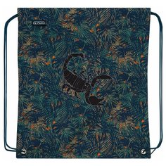 Herlitz Мешок для обуви Scorpion 50026449-1, синий