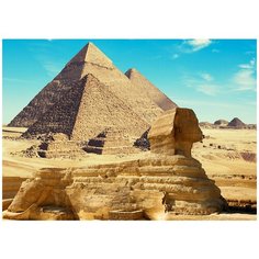 Фотообои Песчаная Кошка Модный Дом